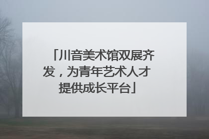 川音美术馆双展齐发，为青年艺术人才提供成长平台