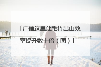 广信这里让毛竹出山效率提升数十倍（图）