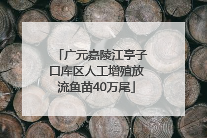 广元嘉陵江亭子口库区人工增殖放流鱼苗40万尾