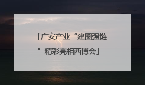 广安产业“建圈强链”精彩亮相西博会