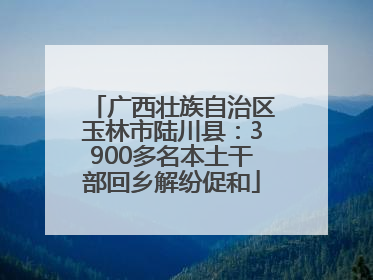 广西壮族自治区玉林市陆川县：3900多名本土干部回乡解纷促和