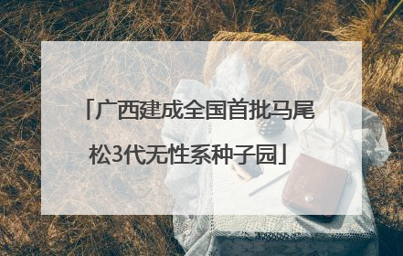 广西建成全国首批马尾松3代无性系种子园