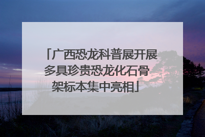 广西恐龙科普展开展 多具珍贵恐龙化石骨架标本集中亮相