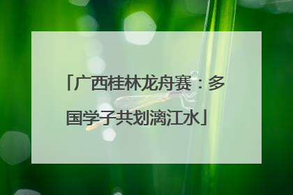 广西桂林龙舟赛：多国学子共划漓江水