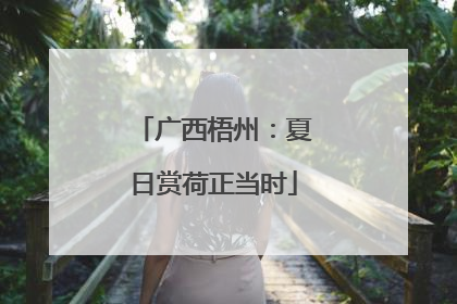 广西梧州：夏日赏荷正当时