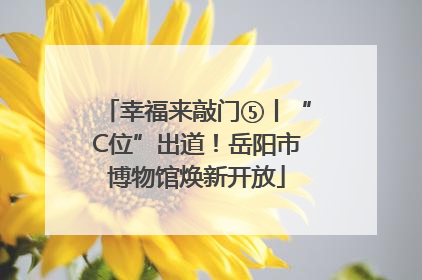 幸福来敲门⑤丨“C位”出道！岳阳市博物馆焕新开放