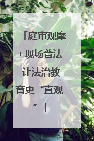 庭审观摩+现场普法 让法治教育更“直观”