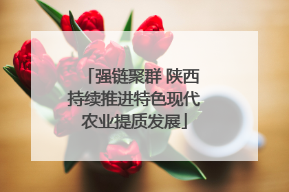 强链聚群 陕西持续推进特色现代农业提质发展