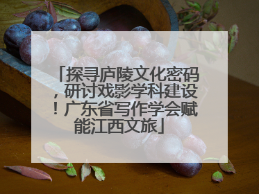 探寻庐陵文化密码，研讨戏影学科建设！广东省写作学会赋能江西文旅