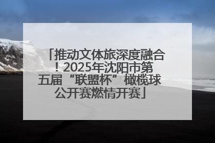 推动文体旅深度融合！2025年沈阳市第五届“联盟杯”橄榄球公开赛燃情开赛