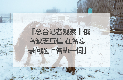总台记者观察丨俄乌缺乏互信 在备忘录问题上各执一词