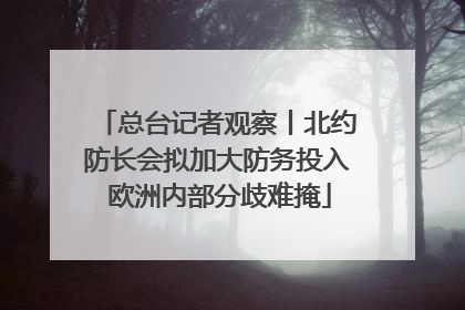 总台记者观察丨北约防长会拟加大防务投入 欧洲内部分歧难掩