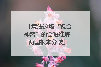 意法这场“貌合神离”的会晤难解两国根本分歧