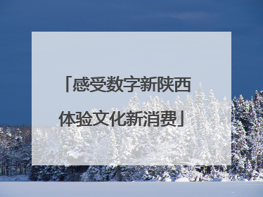 感受数字新陕西 体验文化新消费
