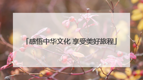 感悟中华文化 享受美好旅程