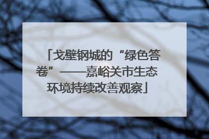 戈壁钢城的“绿色答卷”——嘉峪关市生态环境持续改善观察