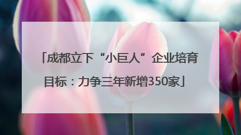 成都立下“小巨人”企业培育目标：力争三年新增350家