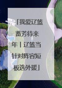 我爱辽篮 蓄芳待来年丨辽篮当针对阵容短板选外援