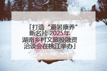 打造“避暑康养”新名片 2025年湖南乡村文旅投融资洽谈会在桃江举办