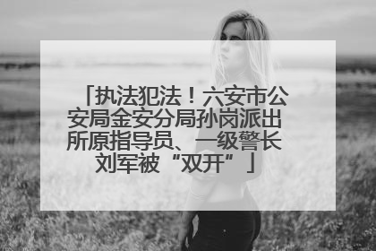 执法犯法！六安市公安局金安分局孙岗派出所原指导员、一级警长刘军被“双开”