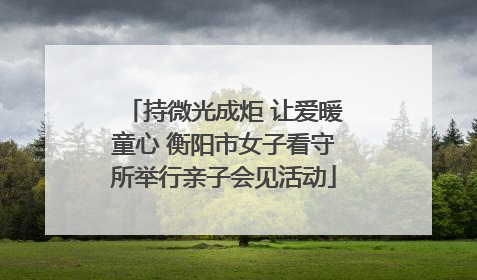 持微光成炬 让爱暖童心 衡阳市女子看守所举行亲子会见活动