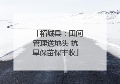 柘城县：田间管理送地头 抗旱保苗保丰收