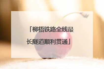 柳梧铁路全线最长隧道顺利贯通