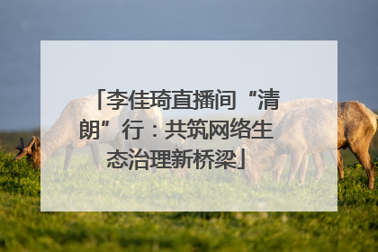 李佳琦直播间“清朗”行：共筑网络生态治理新桥梁
