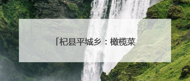 杞县平城乡：橄榄菜产业铺就富民新道路