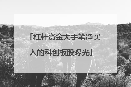 杠杆资金大手笔净买入的科创板股曝光