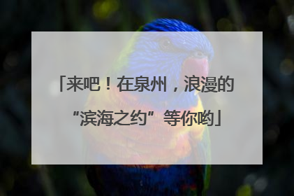 来吧！在泉州，浪漫的“滨海之约”等你哟