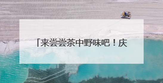 来尝尝茶中野味吧！庆元荒野茶推介会举行