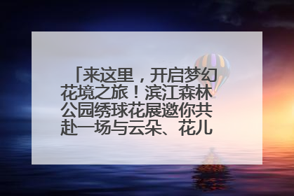 来这里，开启梦幻花境之旅！滨江森林公园绣球花展邀你共赴一场与云朵、花儿的浪漫之约