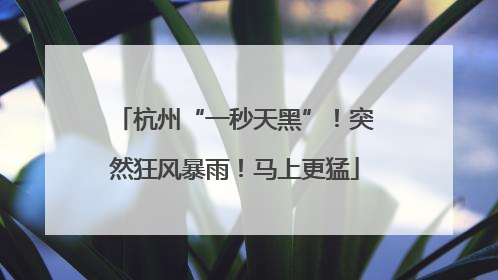 杭州“一秒天黑”！突然狂风暴雨！马上更猛