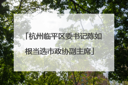 杭州临平区委书记陈如根当选市政协副主席