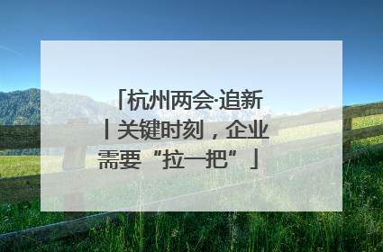 杭州两会·追新丨关键时刻，企业需要“拉一把”