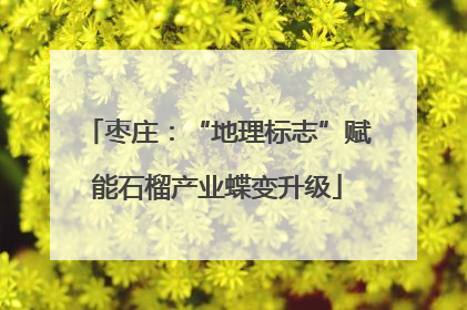 枣庄：“地理标志”赋能石榴产业蝶变升级