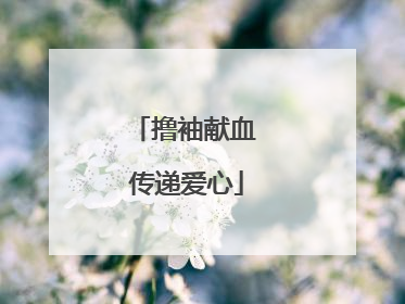 撸袖献血 传递爱心