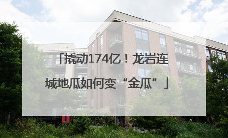 撬动174亿！龙岩连城地瓜如何变“金瓜”