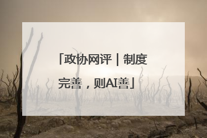政协网评｜制度完善，则AI善