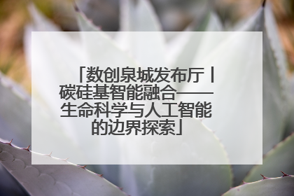 数创泉城发布厅丨碳硅基智能融合——生命科学与人工智能的边界探索