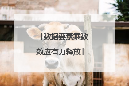 数据要素乘数效应有力释放