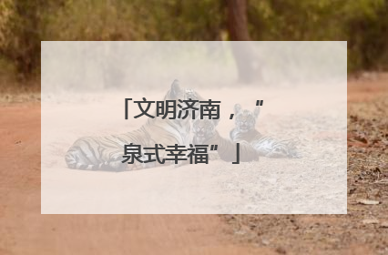 文明济南，“泉式幸福”
