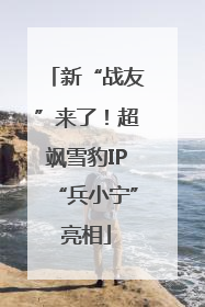 新“战友”来了！超飒雪豹IP“兵小宁”亮相