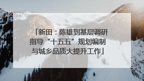 新田：陈雄到基层调研指导“十五五”规划编制与城乡品质大提升工作