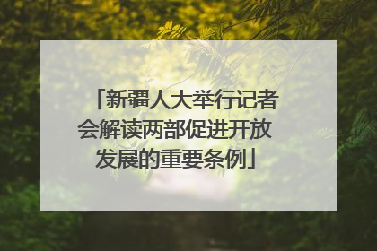 新疆人大举行记者会解读两部促进开放发展的重要条例