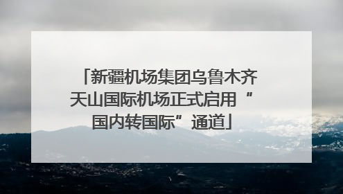 新疆机场集团乌鲁木齐天山国际机场正式启用“国内转国际”通道