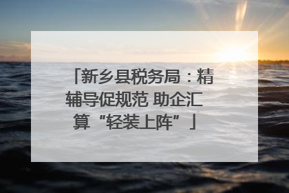 新乡县税务局：精辅导促规范 助企汇算“轻装上阵”