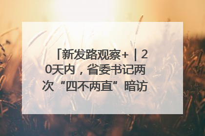 新发路观察+｜20天内，省委书记两次“四不两直”暗访，有何深意？
