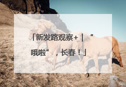 新发路观察+｜“哦啦”，长春！